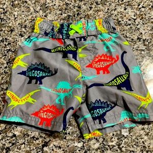 3T swim bottoms. Good condition